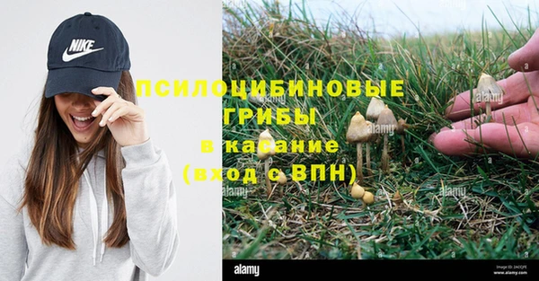 тгк Алексеевка