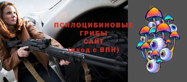 мяу мяу мука Абаза