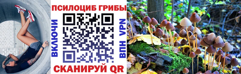 Псилоцибиновые грибы Magic Shrooms  Элиста 